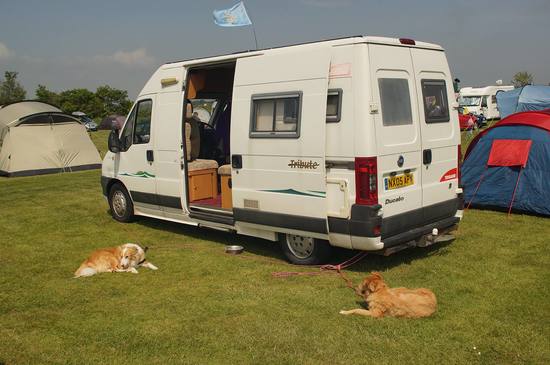 Jack and Jessie laze in the sun at Southwold