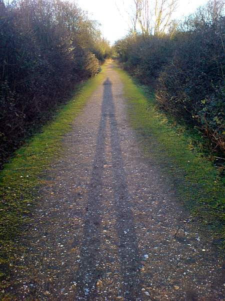 Shadows in the Park